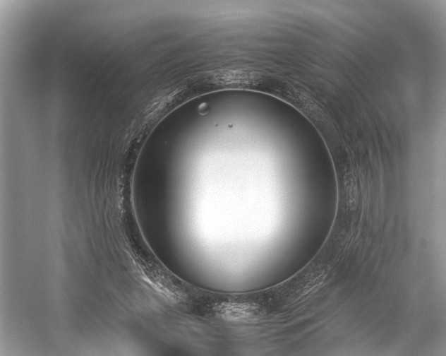 X0000059830255200510211221