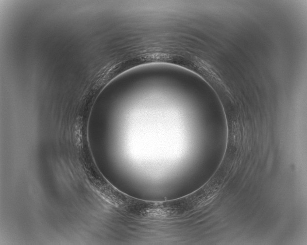 X0000059830259200510211221