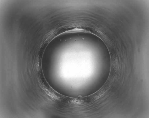 X0000059830261200510211221