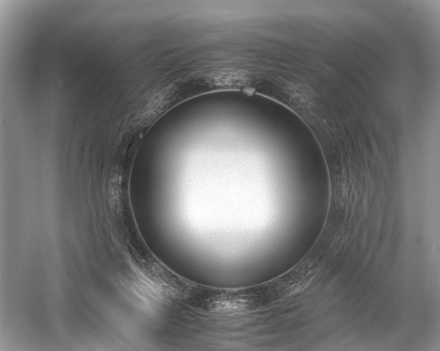 X0000059830263200510211221