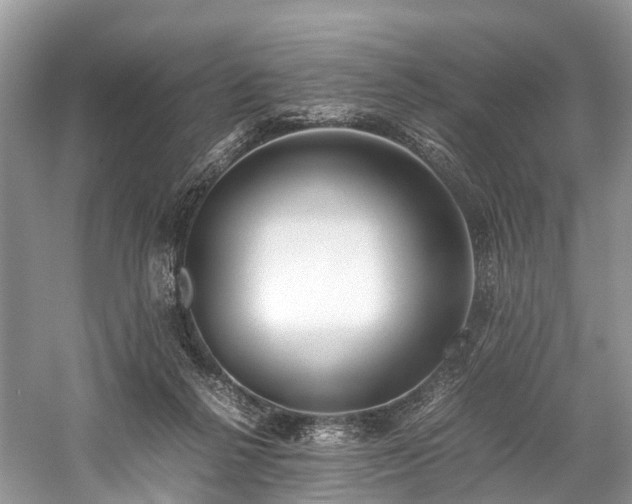 X0000059830264200510211221