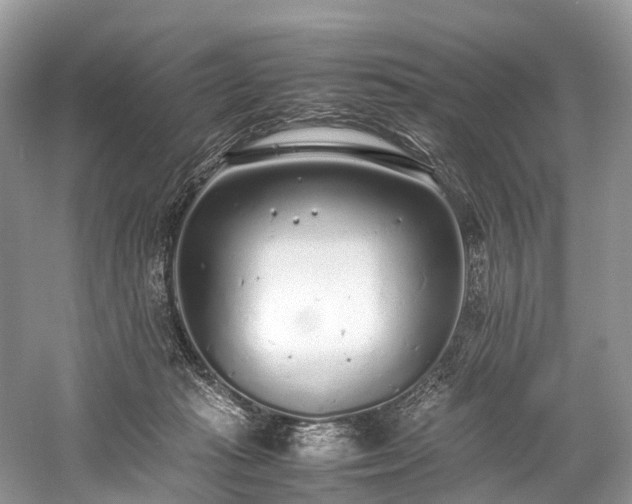 X0000059830269200510211221