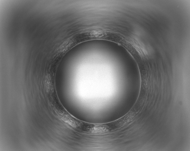 X0000059830270200510211221