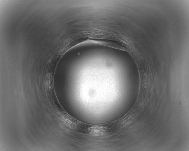 X0000059830273200510211221