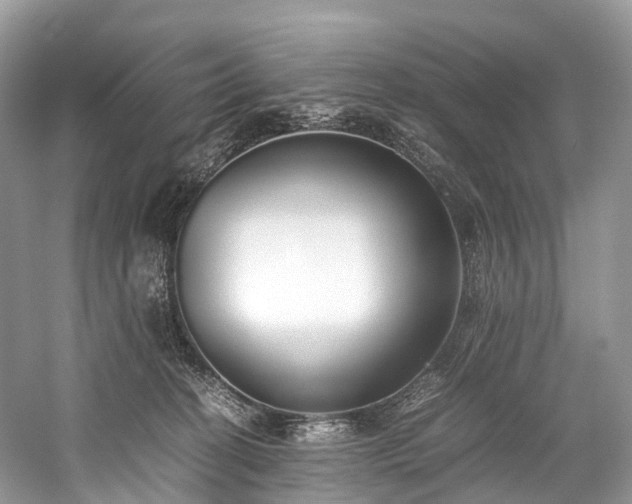 X0000059830274200510211221