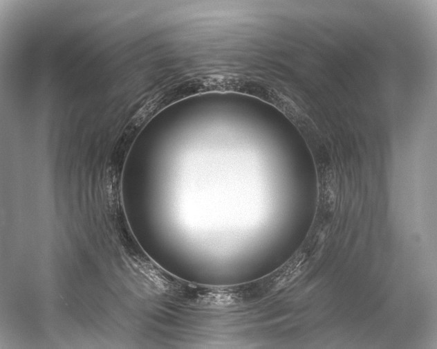 X0000059830276200510211221