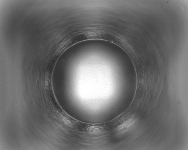 X0000059830277200510211221