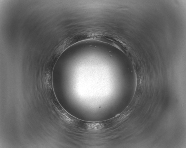 X0000059830281200510211221