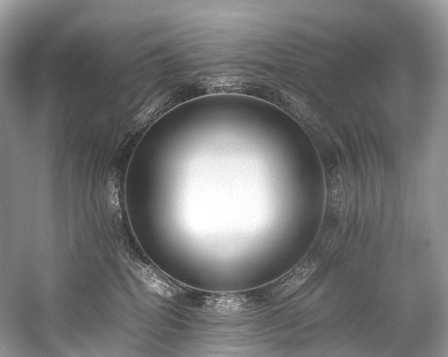 X0000059830282200510211221