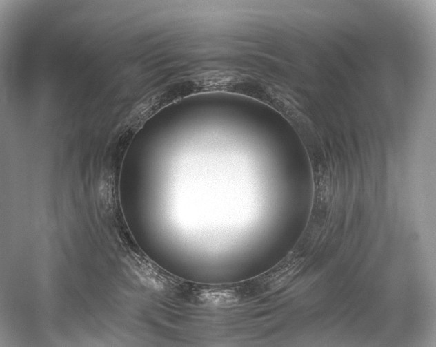 X0000059830283200510211221