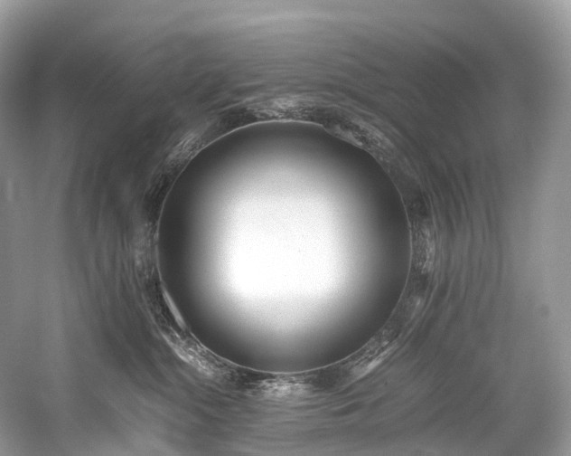 X0000059830284200510211221