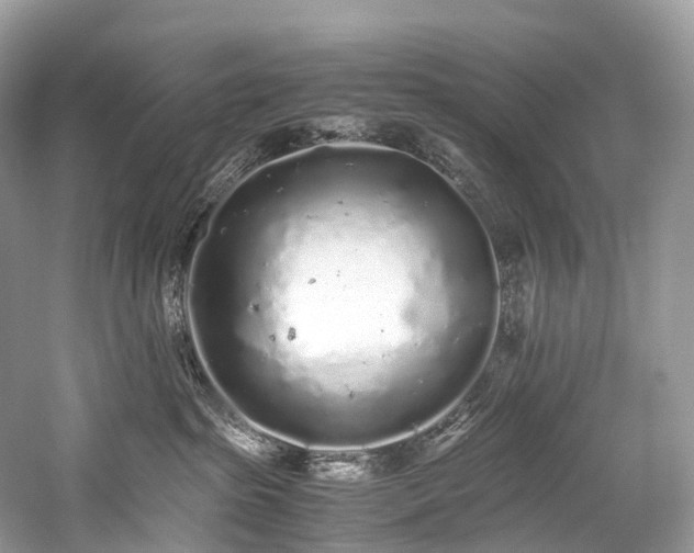 X0000059830285200510211221