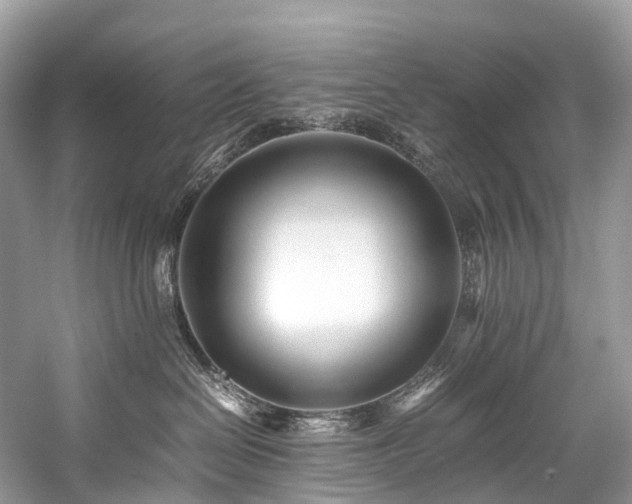 X0000059830286200510211221