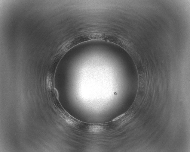 X0000059830287200510211221