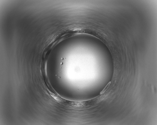 X0000059830288200510211221