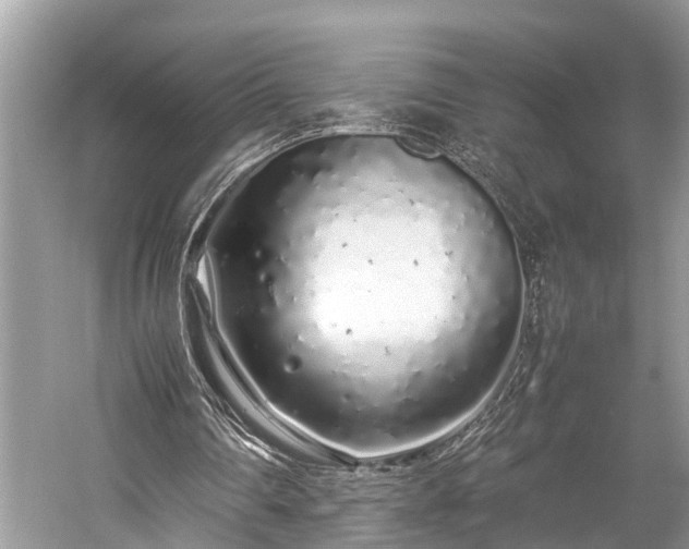 X0000059830290200510211220