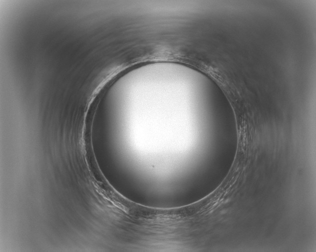 X0000059830292200510211220