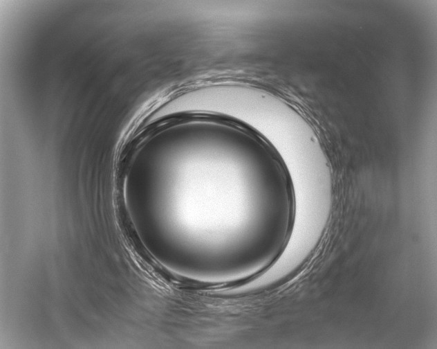 X0000059830293200510211220