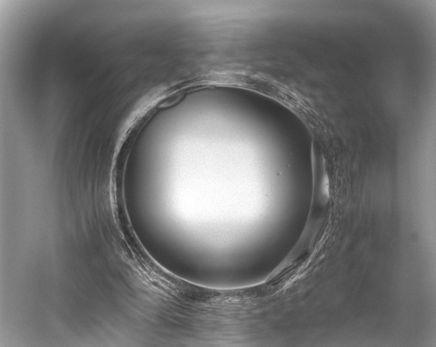 X0000059830294200510211220