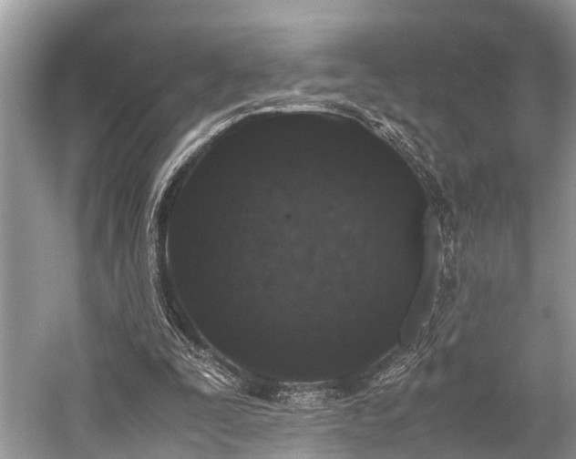 X0000059830295200510211220