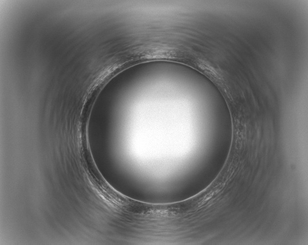 X0000059830298200510211220