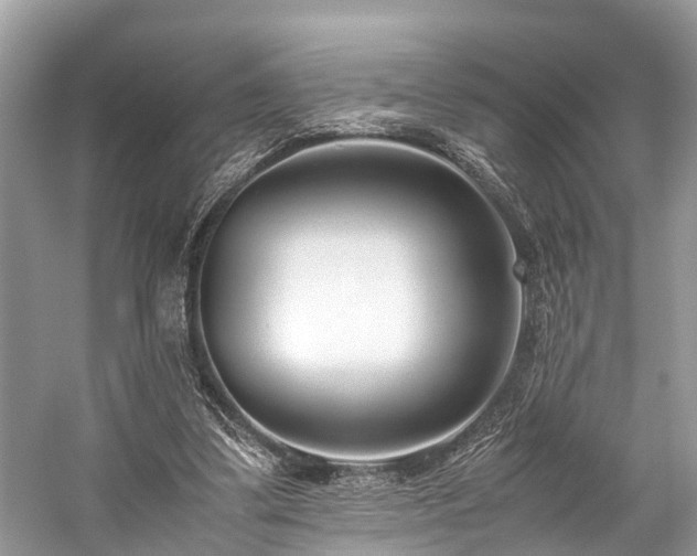 X0000059830299200510211220