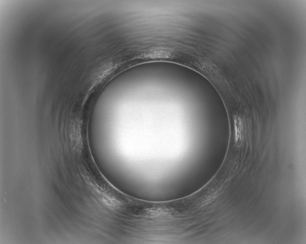 X0000059830300200510211220