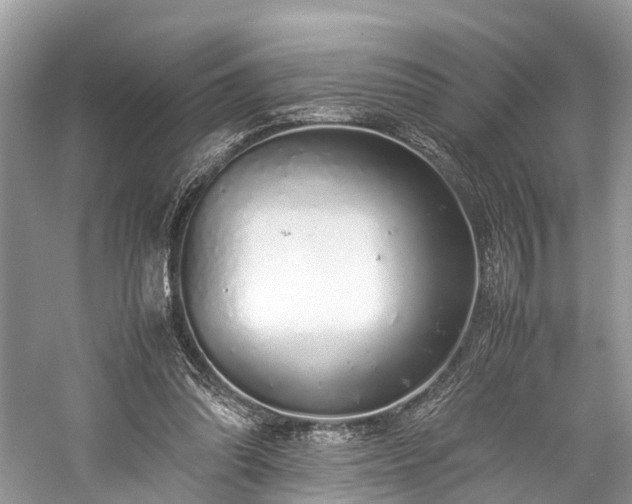 X0000059830302200510211220