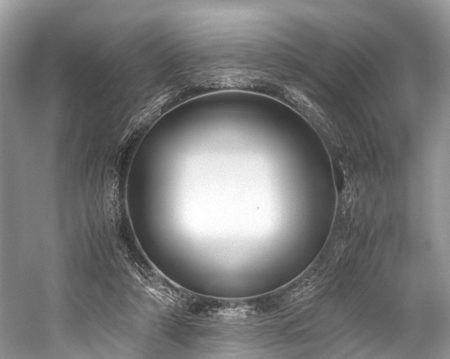 X0000059830306200510211220