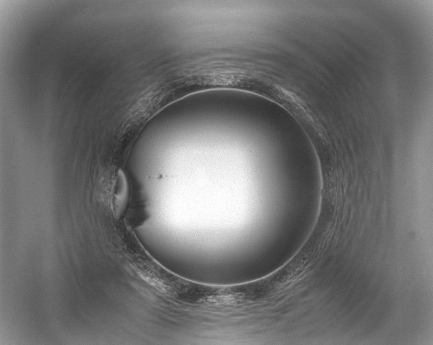 X0000059830307200510211220