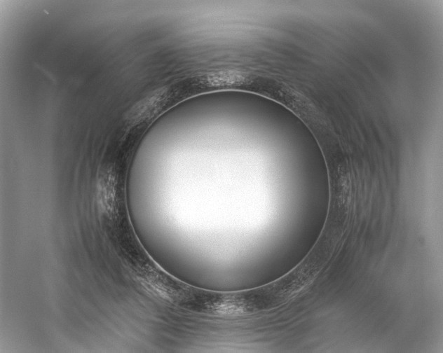 X0000059830308200510211220