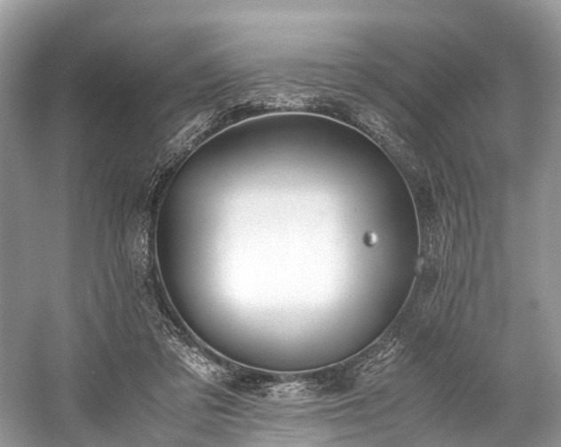 X0000059830309200510211220