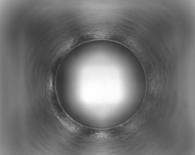 X0000059830310200510211220