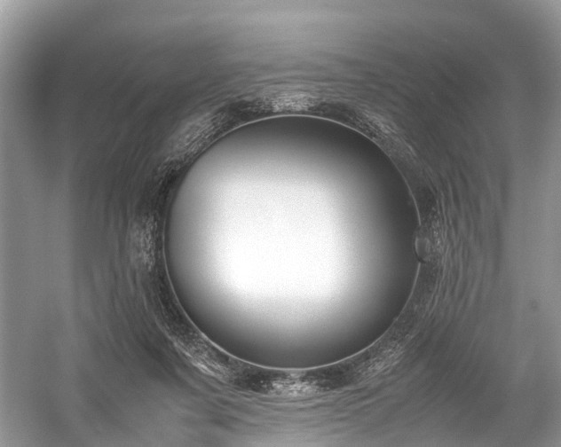 X0000059830311200510211220