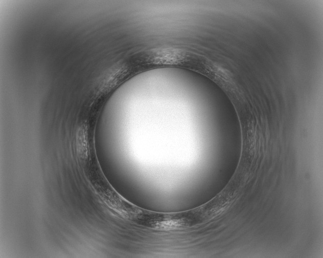 X0000059830312200510211220