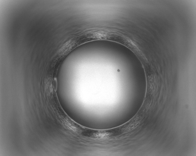 X0000059830313200510211220