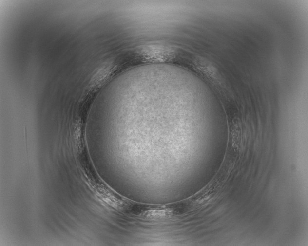 X0000059830314200510211220