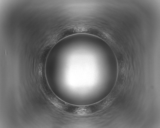 X0000059830315200510211220