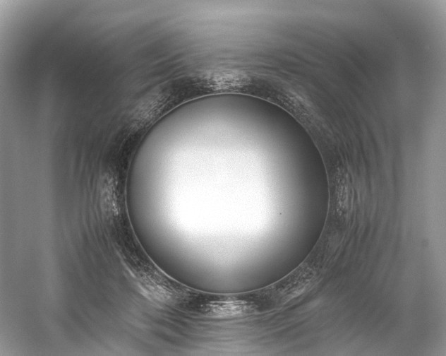 X0000059830316200510211220