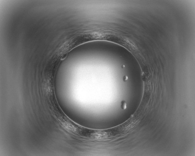 X0000059830317200510211220