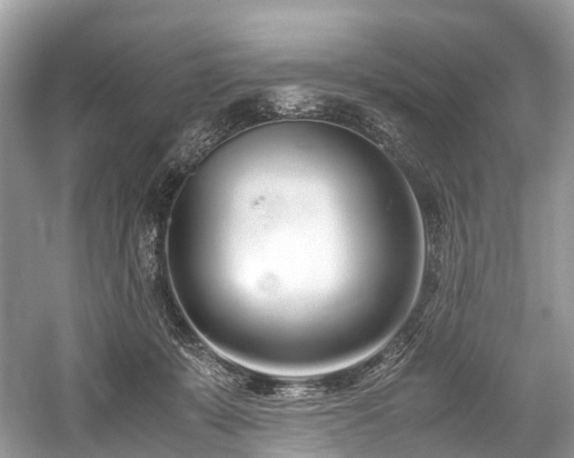 X0000059830319200510211220