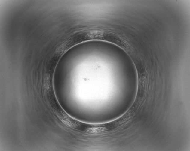 X0000059830323200510211220