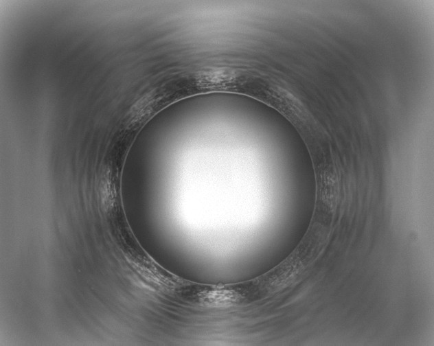 X0000059830324200510211220