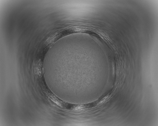 X0000059830325200510211220