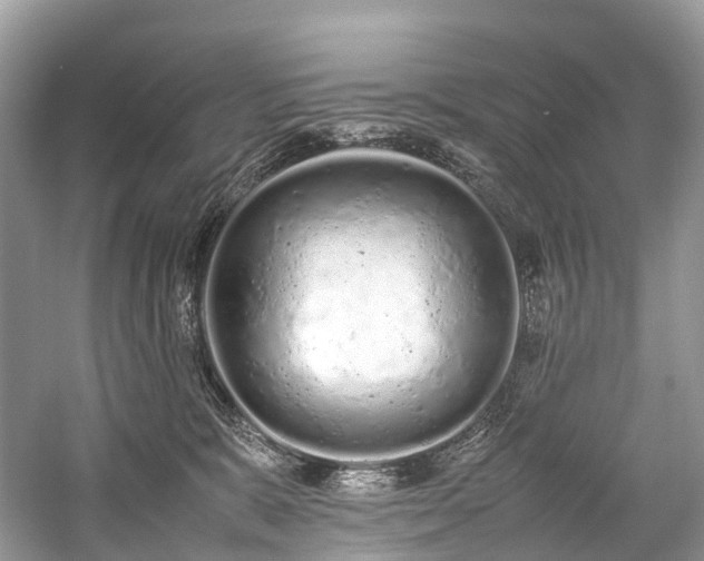 X0000059830327200510211220