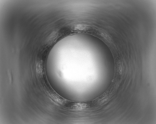 X0000059830328200510211220