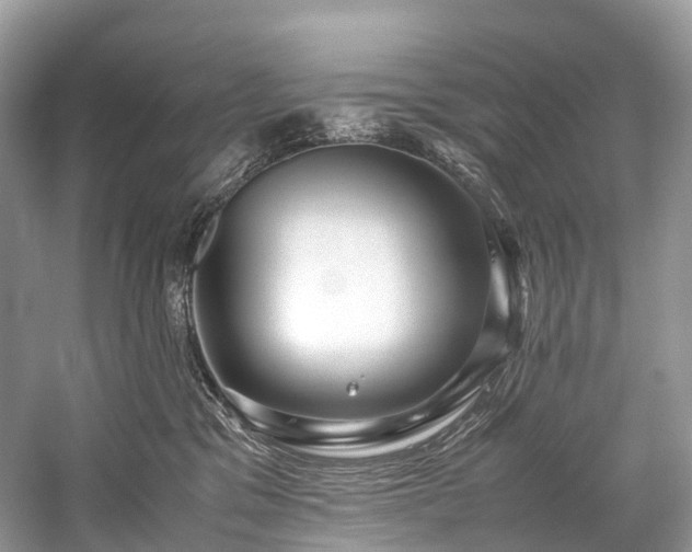 X0000059830329200510211220