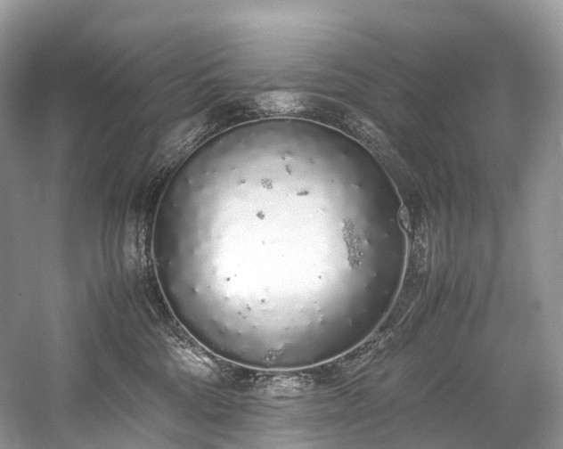 X0000059830330200510211220