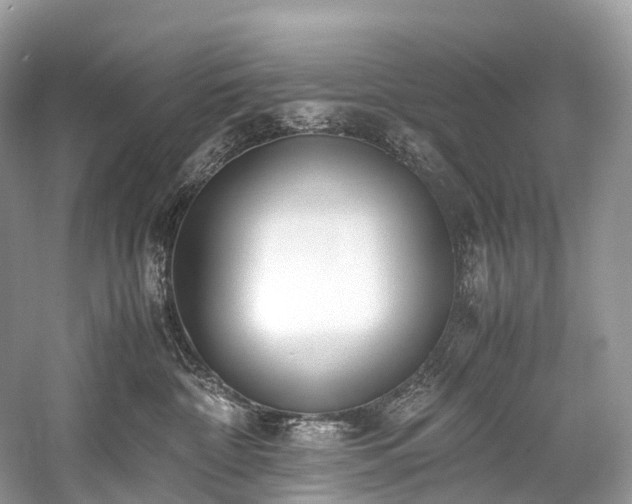 X0000059830332200510211220