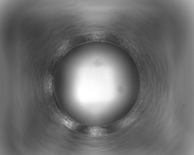 X0000059830336200510211219